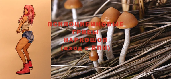 прущая мука Абаза