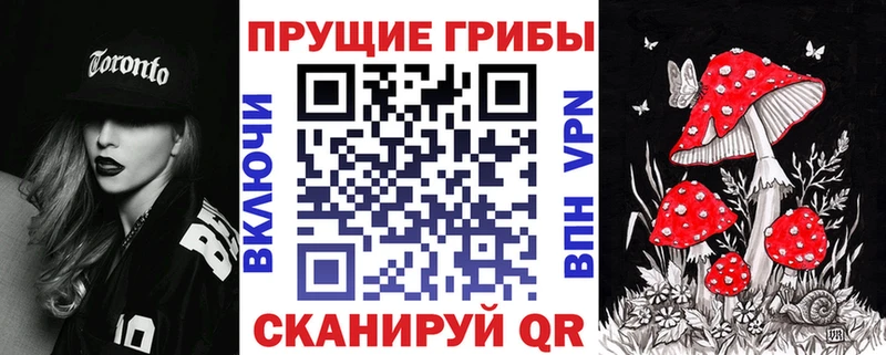 Галлюциногенные грибы Psilocybine cubensis  Далматово 